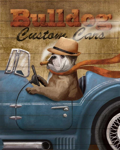 Bull Dog Custom White Modern Wood Framed Art Print with Double Matting by Knutsen, Conrad