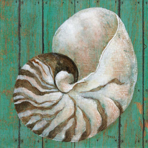 Nautilus Black Modern Wood Framed Art Print by Tava, Janet