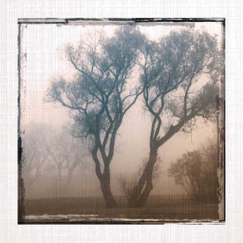 Foggy Light II White Modern Wood Framed Art Print with Double Matting by Robinson, Carol