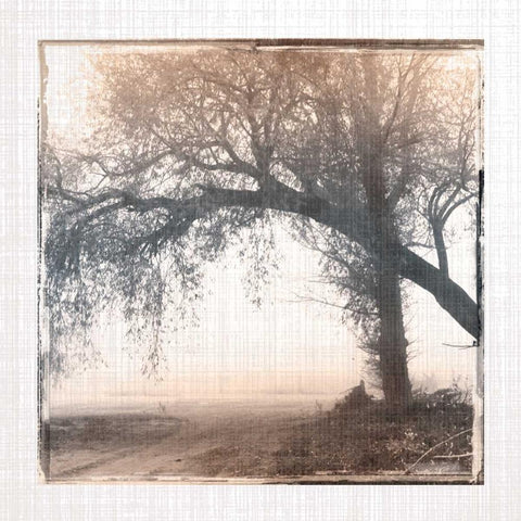 Foggy Light III White Modern Wood Framed Art Print by Robinson, Carol