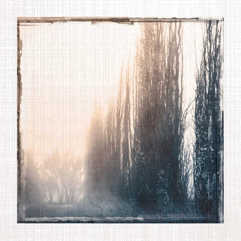 Foggy Light IV White Modern Wood Framed Art Print by Robinson, Carol