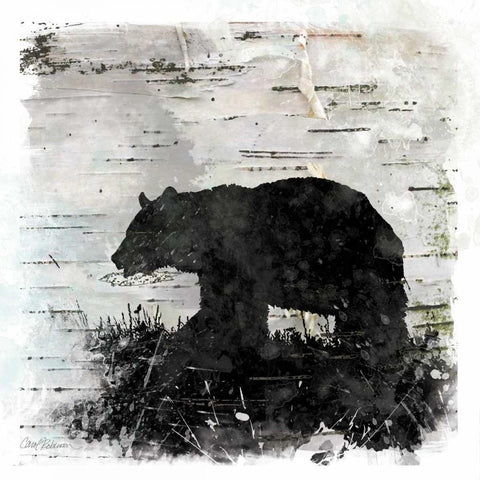 Birchbark Bear Black Modern Wood Framed Art Print with Double Matting by Robinson, Carol