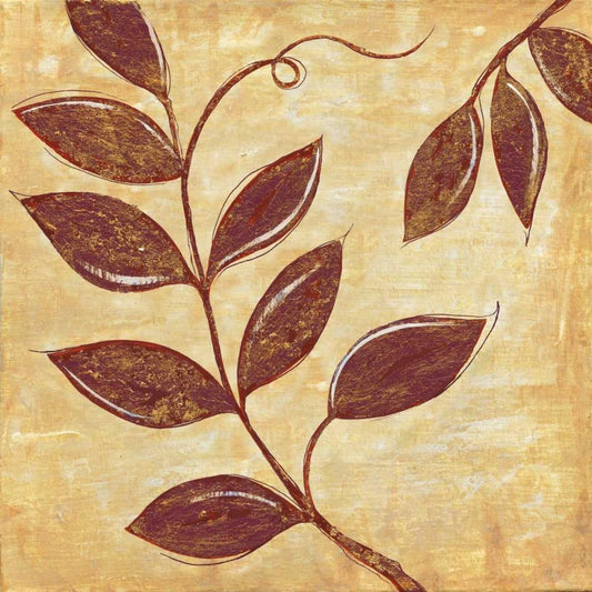 Image Only