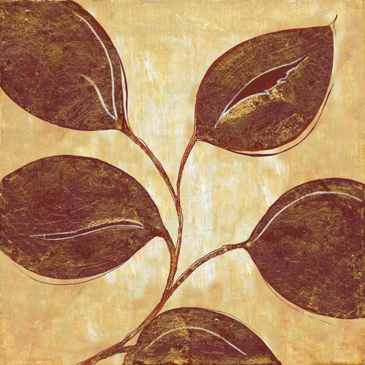 Image Only