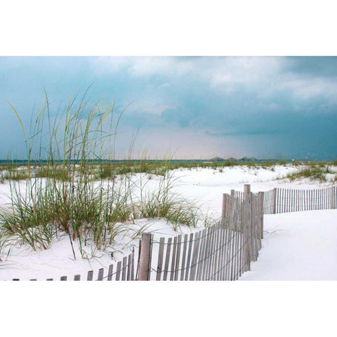 Sunset Isle II White Modern Wood Framed Art Print by Delimont, Danita
