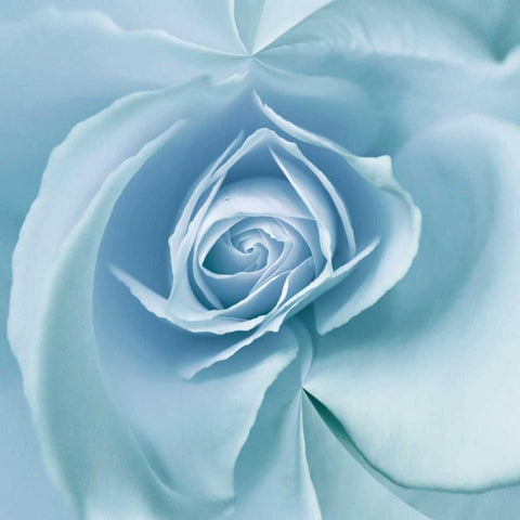 Blue Embrace White Modern Wood Framed Art Print with Double Matting by Delimont, Danita