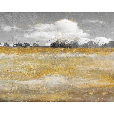 Meadow Shimmer II Black Modern Wood Framed Art Print by Nan