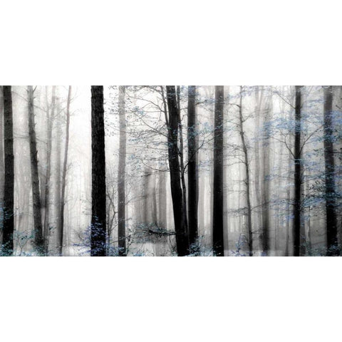 Waiting For Spring Black Modern Wood Framed Art Print by Weisz, Irene