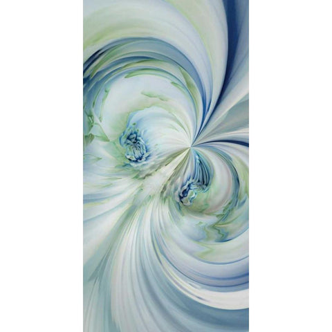 Dahlia Duo Black Modern Wood Framed Art Print by Delimont, Danita