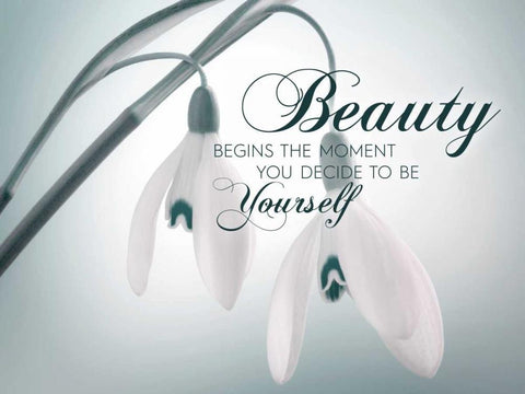 Beauty In White Modern Wood Framed Art Print with Double Matting by Delimont, Danita