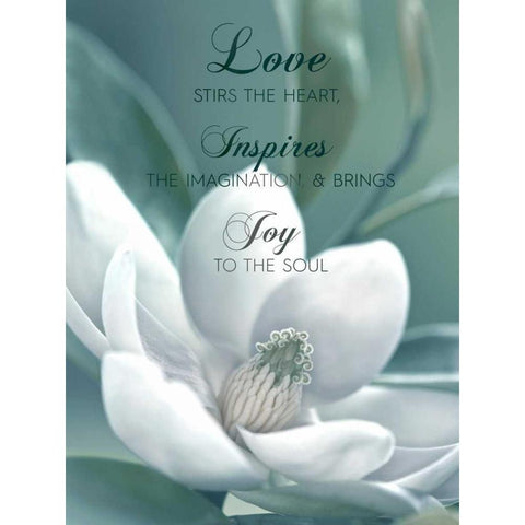 Joy To The Soul Black Modern Wood Framed Art Print with Double Matting by Delimont, Danita