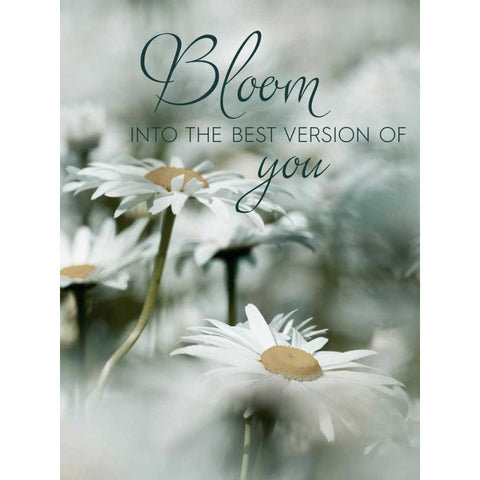 Bloom Black Modern Wood Framed Art Print with Double Matting by Delimont, Danita