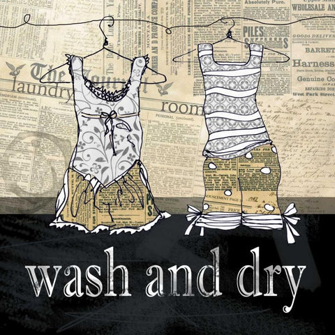 Wash and Dry Black Modern Wood Framed Art Print by Robinson, Carol