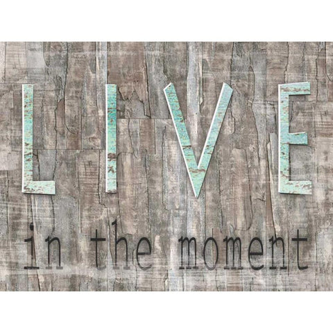 Weathered Wood Live White Modern Wood Framed Art Print by Donovan, Kelly