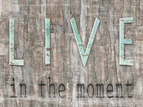 Weathered Wood Live White Modern Wood Framed Art Print with Double Matting by Donovan, Kelly