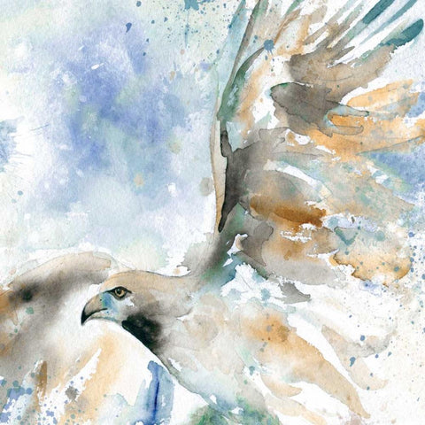 Hawk On Blue Gold Ornate Wood Framed Art Print with Double Matting by Robinson, Carol