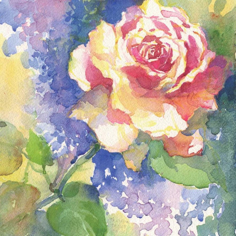 Margots Rose III White Modern Wood Framed Art Print with Double Matting by Troise Heidel, Theresa