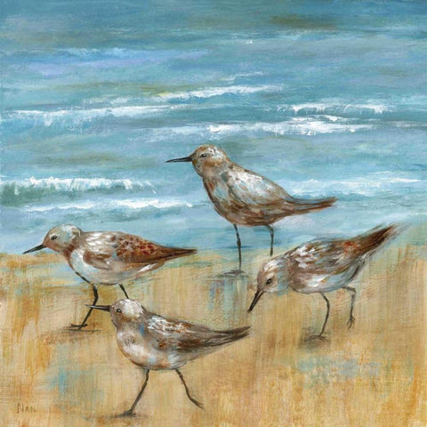 Sandpipers III Black Ornate Wood Framed Art Print with Double Matting by Nan