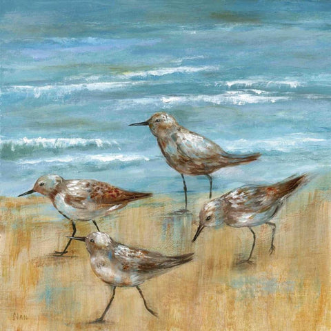 Sandpipers III White Modern Wood Framed Art Print by Nan