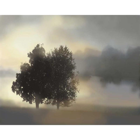 Misty Morning White Modern Wood Framed Art Print by Nan