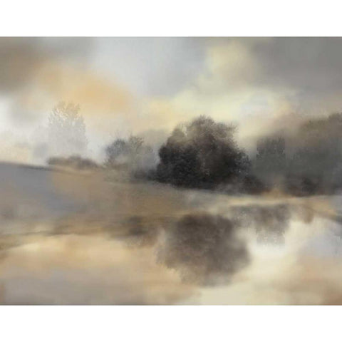 Misty Pond White Modern Wood Framed Art Print by Nan