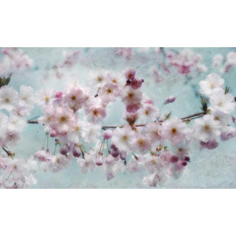 Scent of Spring Black Modern Wood Framed Art Print with Double Matting by Weisz, Irene