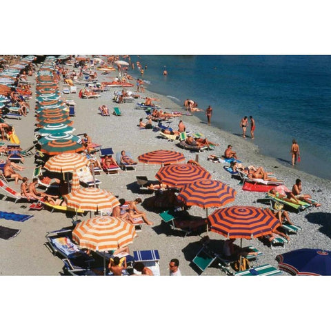 Beach Holiday White Modern Wood Framed Art Print by Delimont, Danita