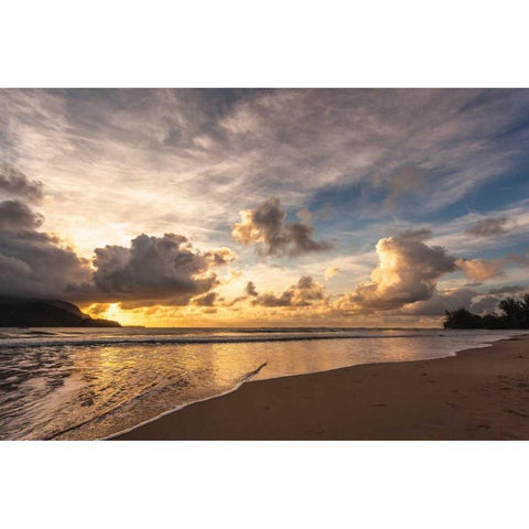 Sunset in Hanalei Gold Ornate Wood Framed Art Print with Double Matting by Delimont, Danita