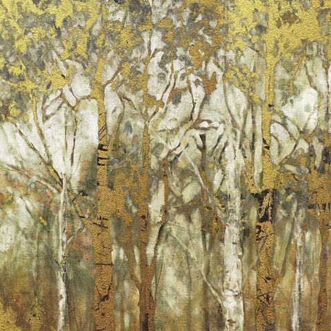 Birch Grove East White Modern Wood Framed Art Print by Robinson, Carol