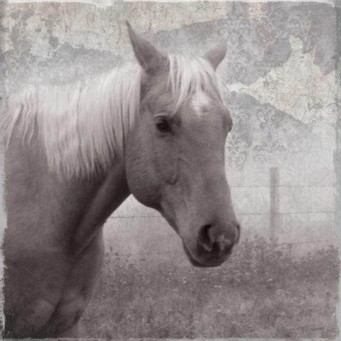 Vintage View I Black Ornate Wood Framed Art Print with Double Matting by Robinson, Carol