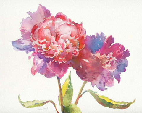 Prize Peonies I Black Ornate Wood Framed Art Print with Double Matting by Troise Heidel, Theresa
