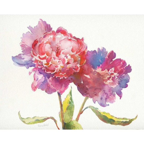 Prize Peonies I Black Modern Wood Framed Art Print by Troise Heidel, Theresa
