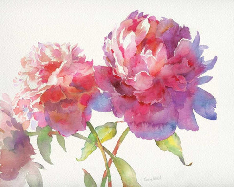 Prize Peonies II Black Ornate Wood Framed Art Print with Double Matting by Troise Heidel, Theresa