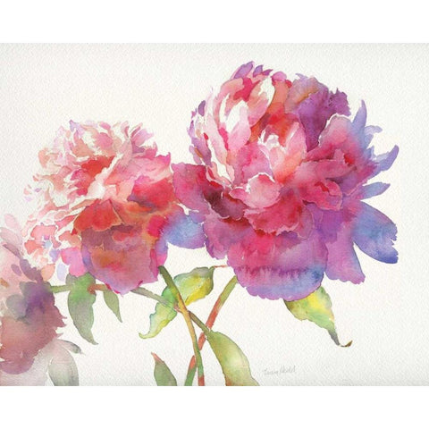 Prize Peonies II Black Modern Wood Framed Art Print by Troise Heidel, Theresa