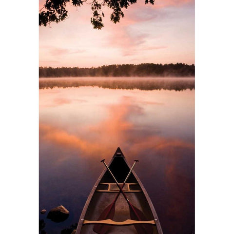 Lake At Dawn Gold Ornate Wood Framed Art Print with Double Matting by Delimont, Danita