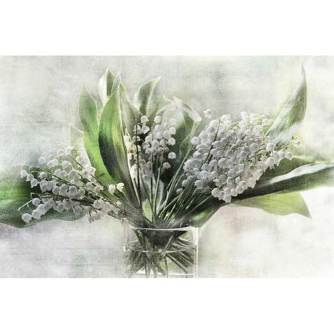 Spring Bells I Black Modern Wood Framed Art Print by Weisz, Irene