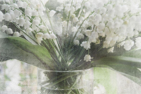 Spring Bells II White Modern Wood Framed Art Print with Double Matting by Weisz, Irene