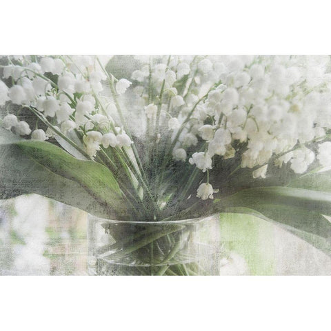 Spring Bells II Black Modern Wood Framed Art Print with Double Matting by Weisz, Irene