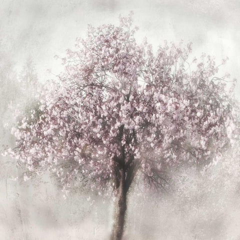 Blossoms of Spring II Black Modern Wood Framed Art Print by Weisz, Irene