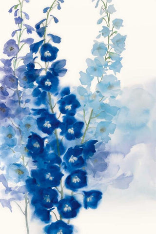 Delphinium I White Modern Wood Framed Art Print with Double Matting by Daniels, Rogier