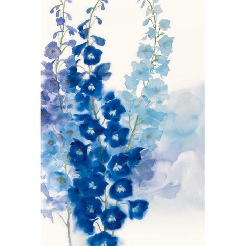 Delphinium I Black Modern Wood Framed Art Print by Daniels, Rogier