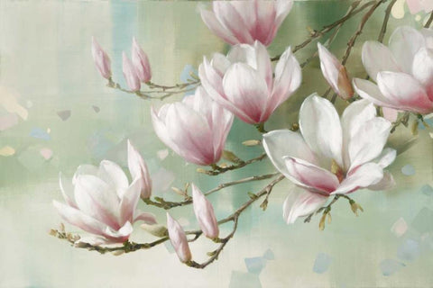 Magnolia Morning White Modern Wood Framed Art Print with Double Matting by Daniels, Rogier