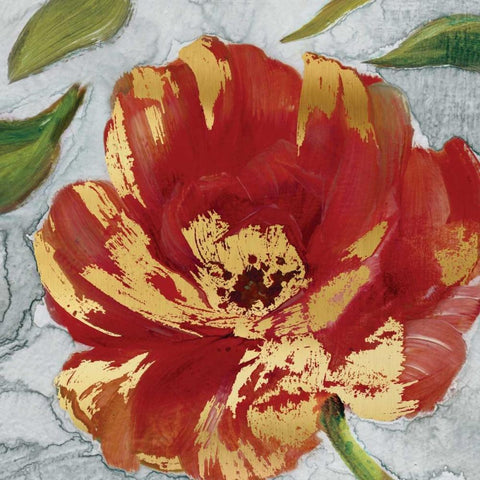 Crimson Crush II White Modern Wood Framed Art Print with Double Matting by Robinson, Carol