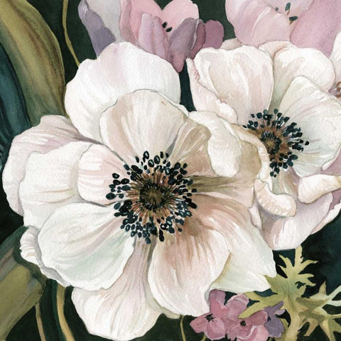 Anemone Study I Black Ornate Wood Framed Art Print with Double Matting by Robinson, Carol