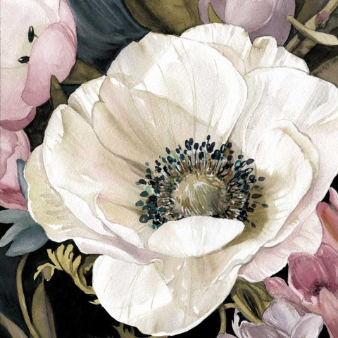 Anemone Study II Black Modern Wood Framed Art Print with Double Matting by Robinson, Carol