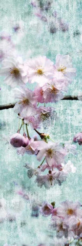 Sweet Spring I White Modern Wood Framed Art Print with Double Matting by Weisz, Irene