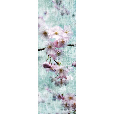 Sweet Spring I White Modern Wood Framed Art Print by Weisz, Irene