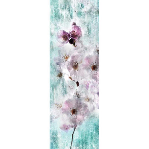 Sweet Spring III Black Modern Wood Framed Art Print with Double Matting by Weisz, Irene