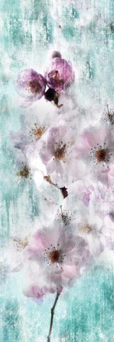 Sweet Spring III White Modern Wood Framed Art Print with Double Matting by Weisz, Irene