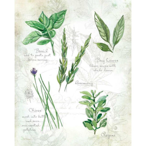 Fresh Herbs I White Modern Wood Framed Art Print by Robinson, Carol